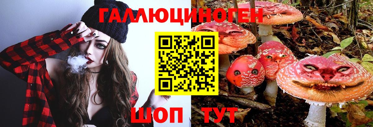 купить  цена  Вход с VPN  Чебоксары  Галлюциногенные грибы мицелий 
