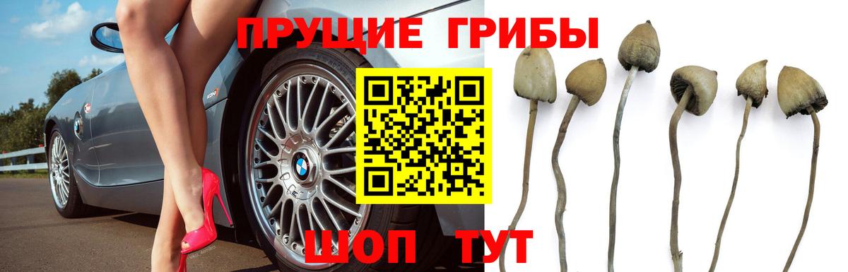 Галлюциногенные грибы ЛСД Чебоксары